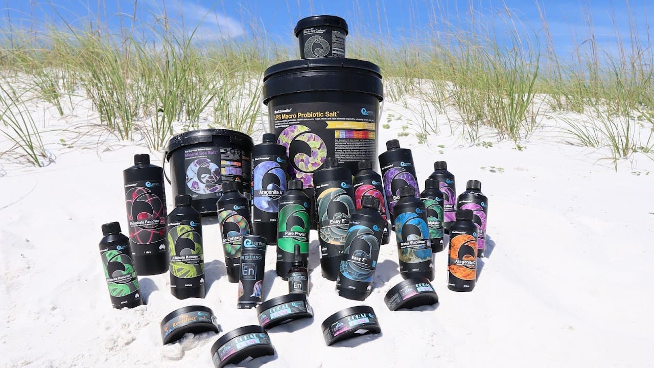 Quantum USA Aquarium Products Association Organization in Fort Walton Beach Florida