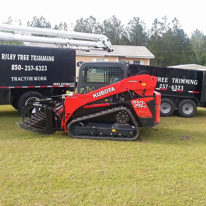Rileys Tree Trimming and Removal Service Tree Service in Panama City Florida