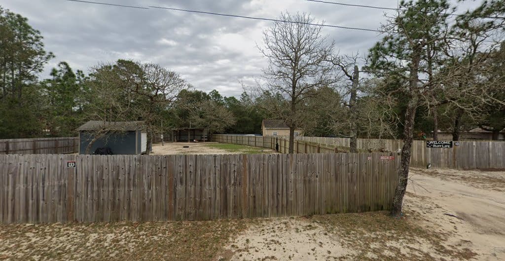 Ruff Life Professional Pet Sitters Pet Sitter in Navarre Florida