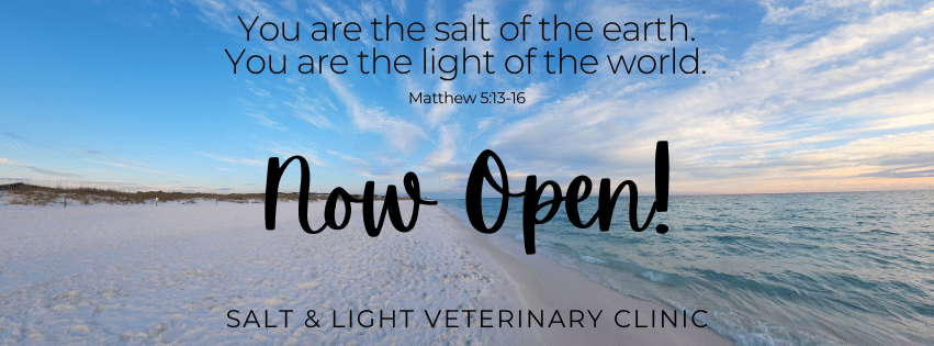 Salt and Light Veterinary Clinic Veterinarian in Santa Rosa Beach Florida