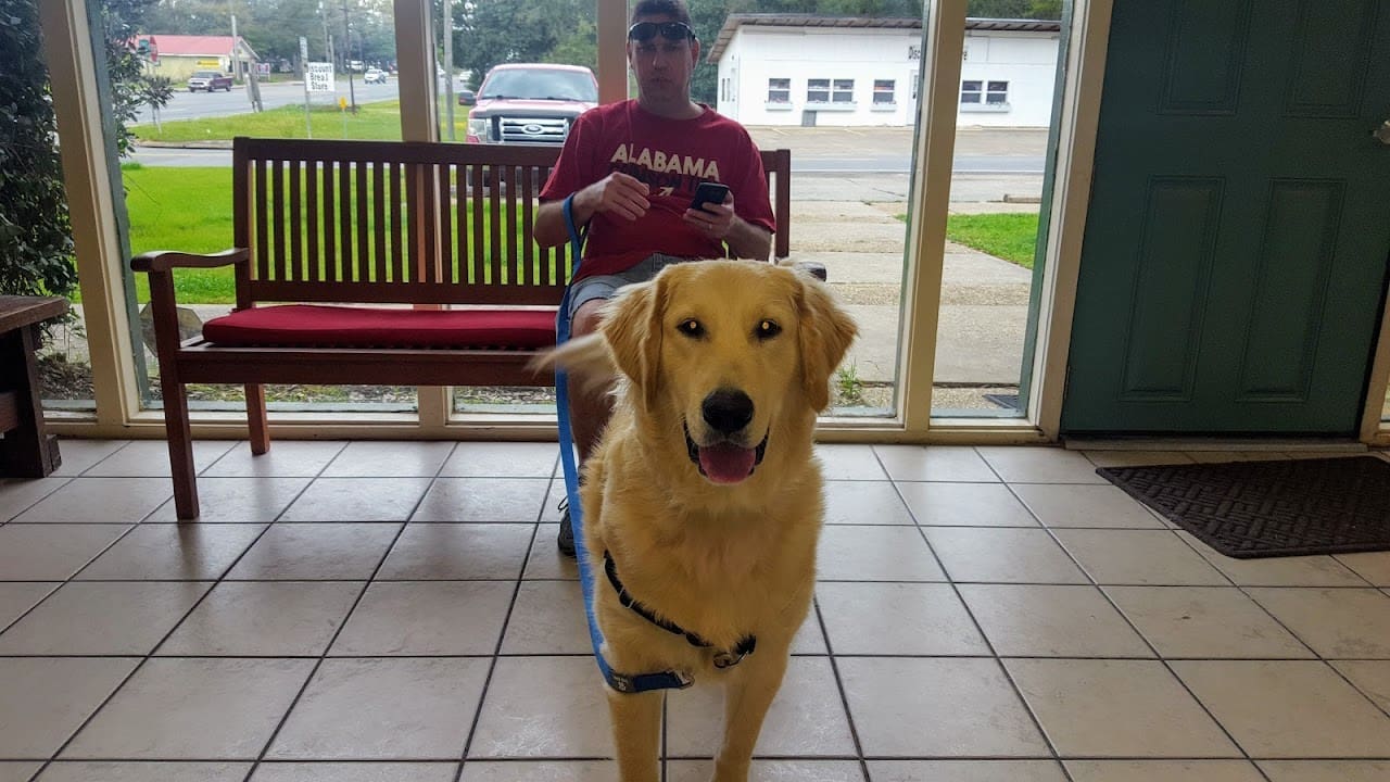 Santa Rosa Veterinary Clinic Veterinarian in Milton Florida