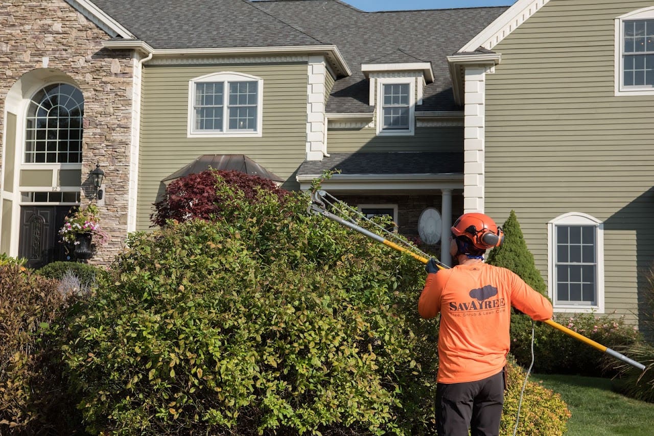 SavATree Tree Service Tree Service in Santa Rosa Beach Florida