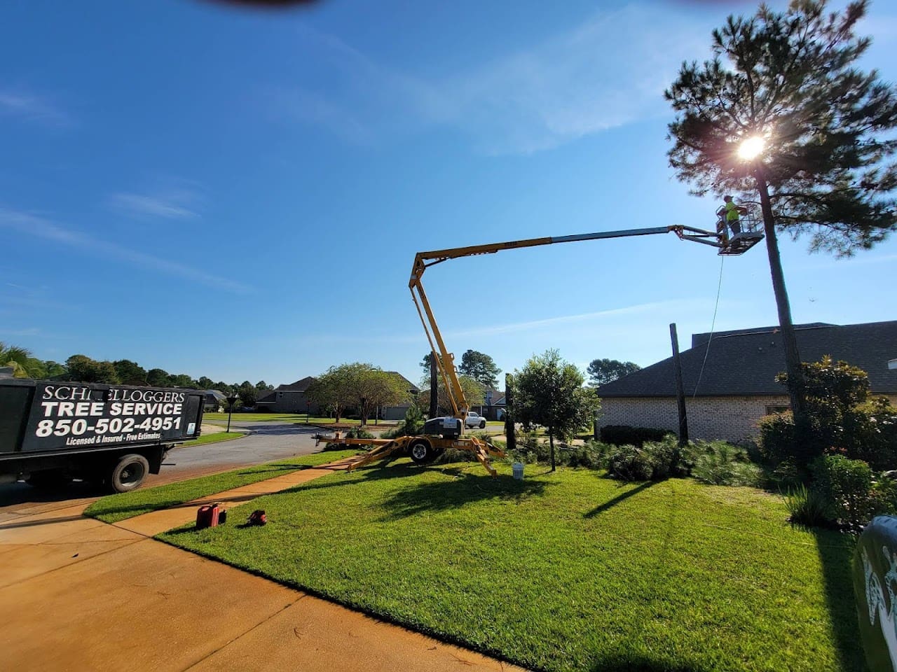 Schnelloggers Tree Service Removal Tree Service in Freeport Florida