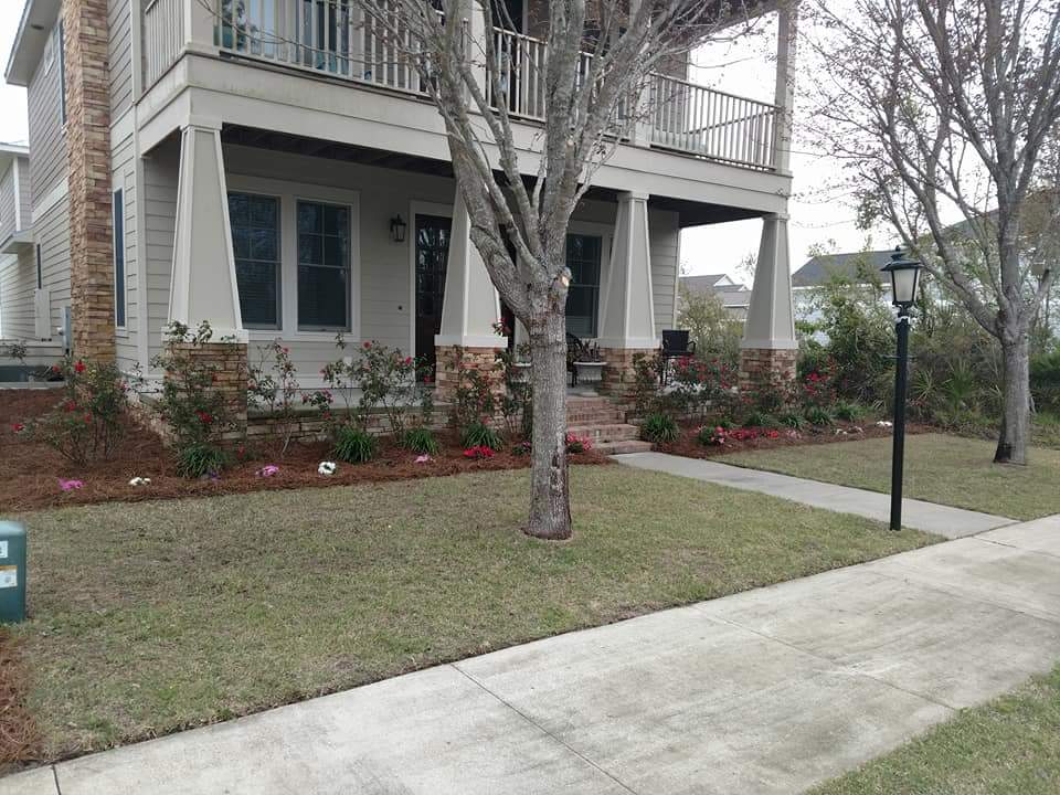 Seedz Pool Lawn and Pressure Washing Pool Cleaning Service in Lynn Haven Florida