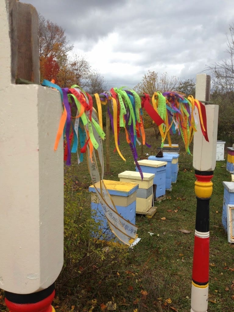 Sleeping Bear Farms Florida branch Farm in Chipley Florida
