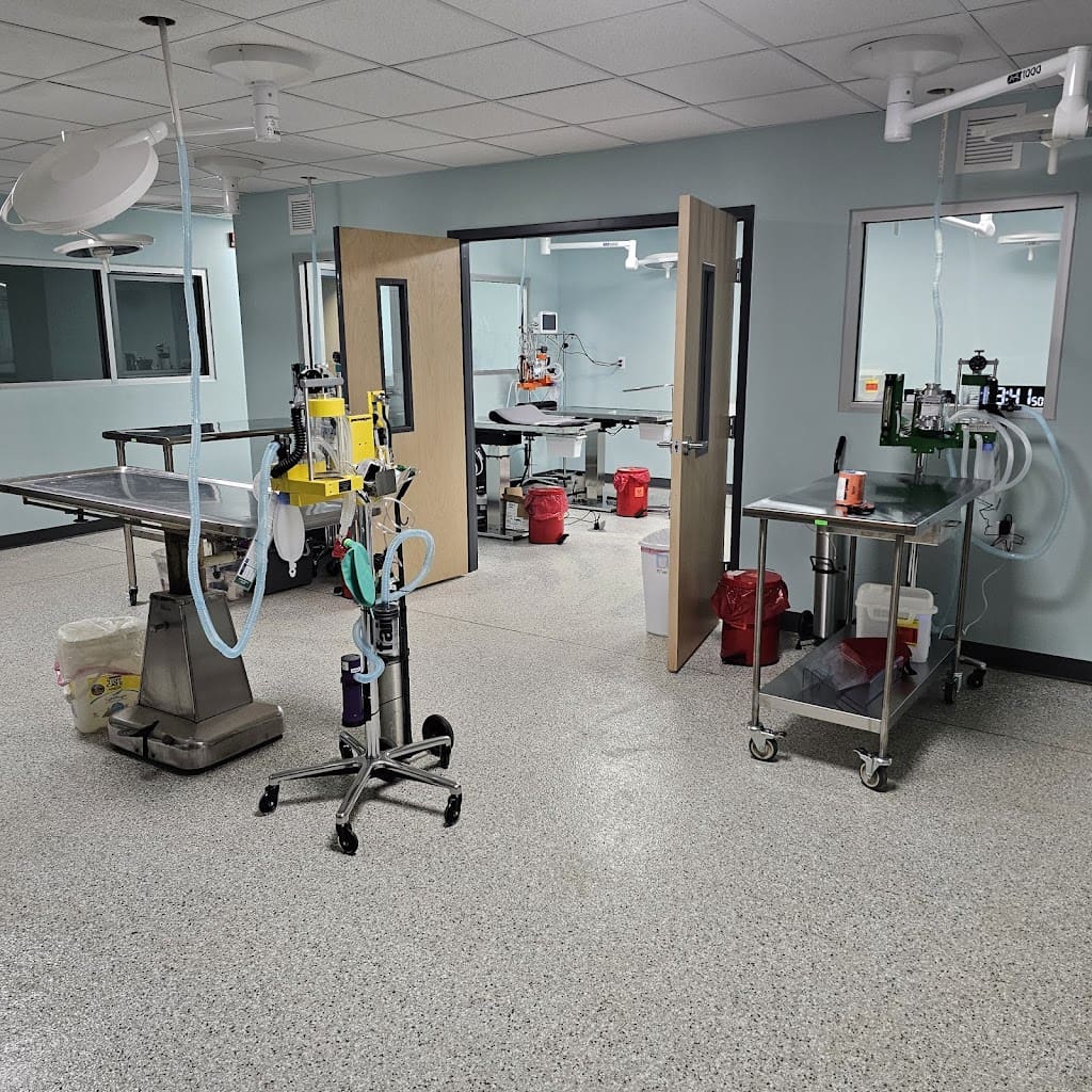 Snip Happens Veterinarian in Milton Florida