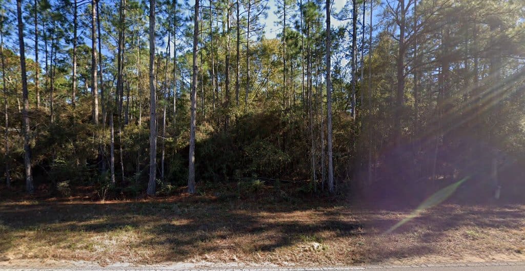 Sparks Professional Commercial Cleaning House Cleaning Service in Ponce De Leon Florida