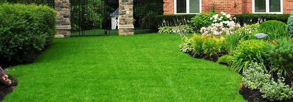 Strategic Lawn Care LLC Lawn Care Service in Gulf Breeze Florida
