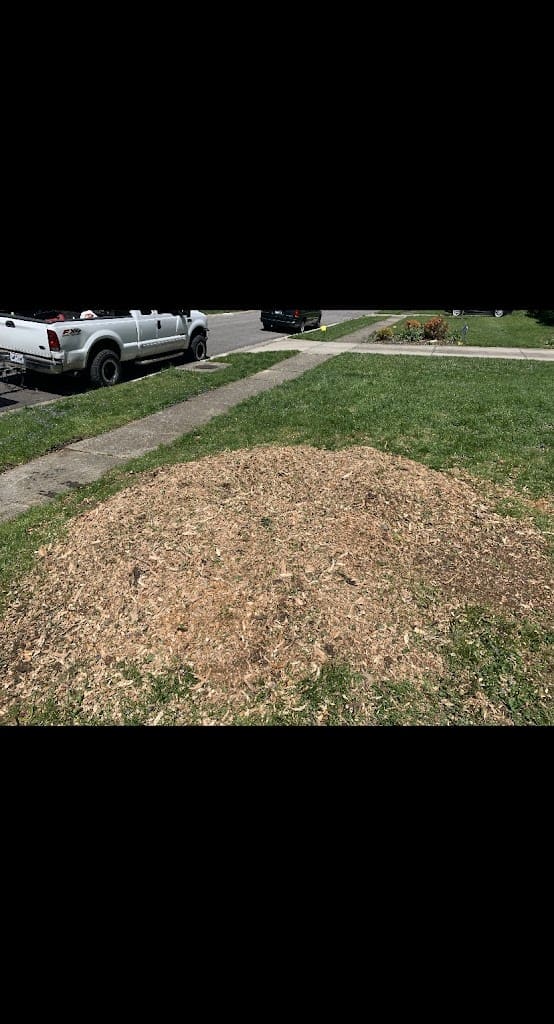 Stump Magic Gulf Coast Tree Service in Pensacola Florida