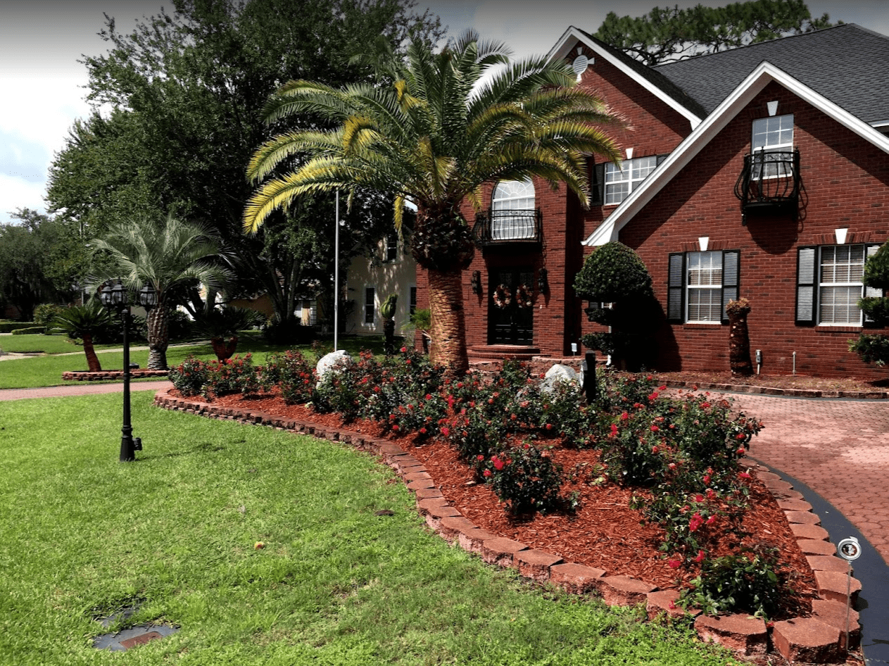 TREES R US Tree Farm in Panama City Florida