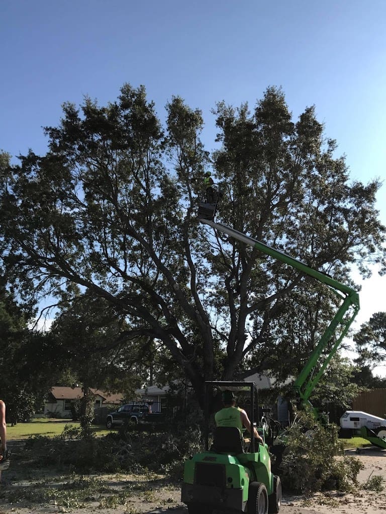 TREEWORKS LLC Tree Service in Navarre Florida