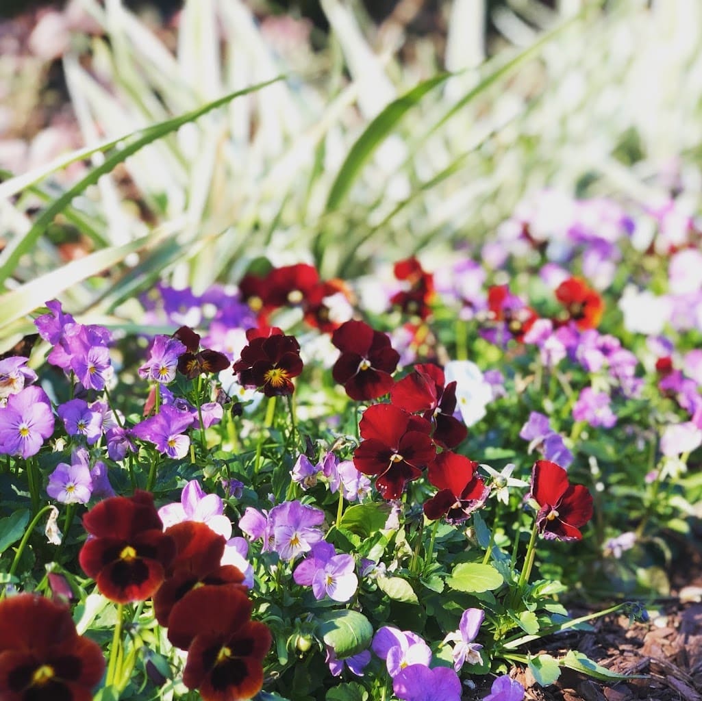 The Turf Tailors Landscaper in Fort Walton Beach Florida