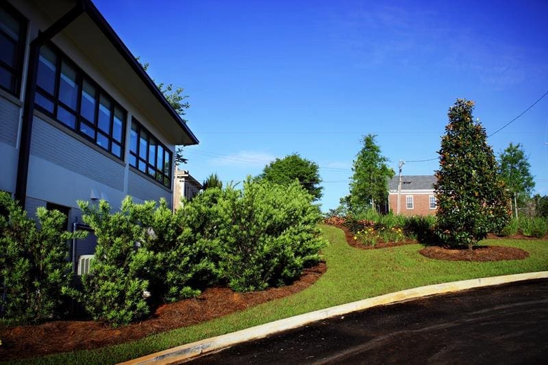 The Wallace Company Landscaper in Pensacola Florida