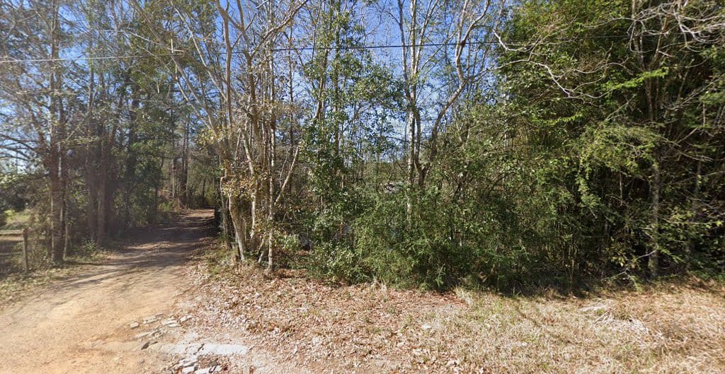 The other guy lawn care and tree service Lawn Care Service in Cantonment Florida