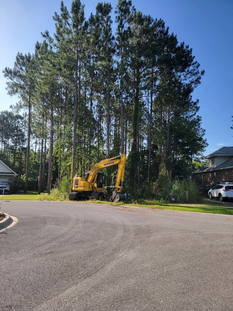 Thomasons land care llc Tree Service in Chipley Florida