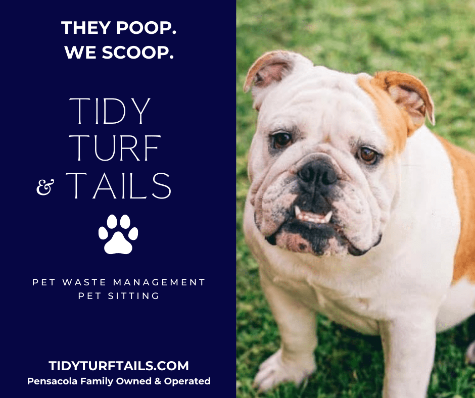 Tidy Turf Tails LLC Waste Management Service in Pensacola Florida
