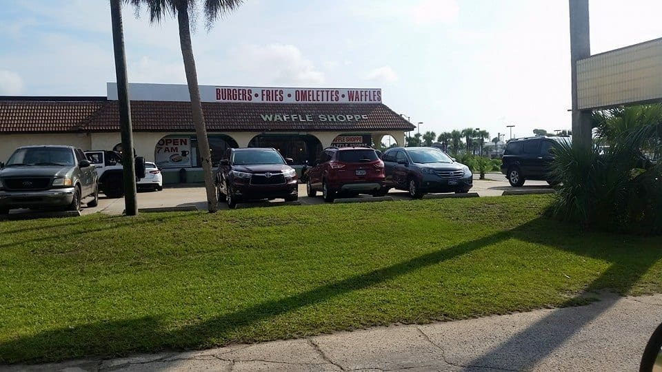 Titus Landscaping LLC Landscaper in Lynn Haven Florida