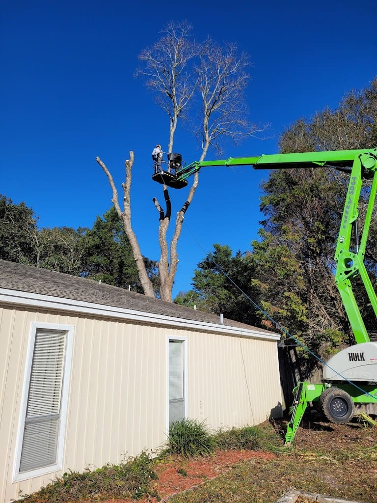 Tree Amigos of NWF Tree Service in Fort Walton Beach Florida