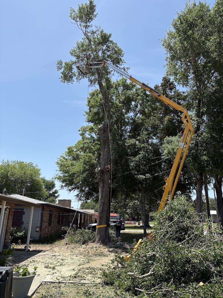 Tree Huggerzzz LLC Tree Service in Milton Florida