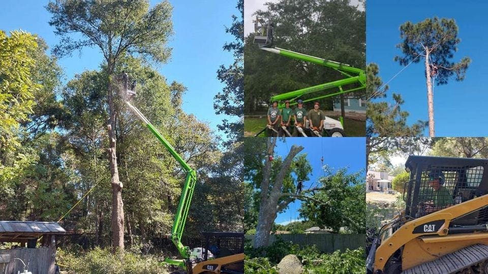 Trees and More of Northwest Florida Fanberg Brothers LLC Tree Service in Milton Florida