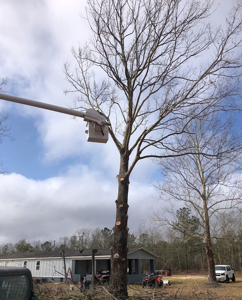Turn Key Tree Tree Service in Pensacola Florida