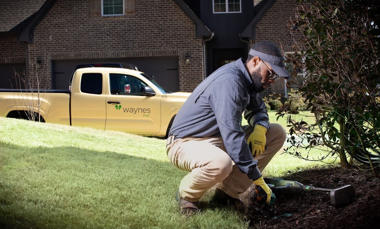 Waynes Pest Control Pest Control Service in Panama City Florida