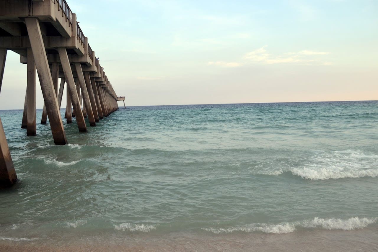 Wild Thistle Therapy Mental Health Service in Gulf Breeze Florida