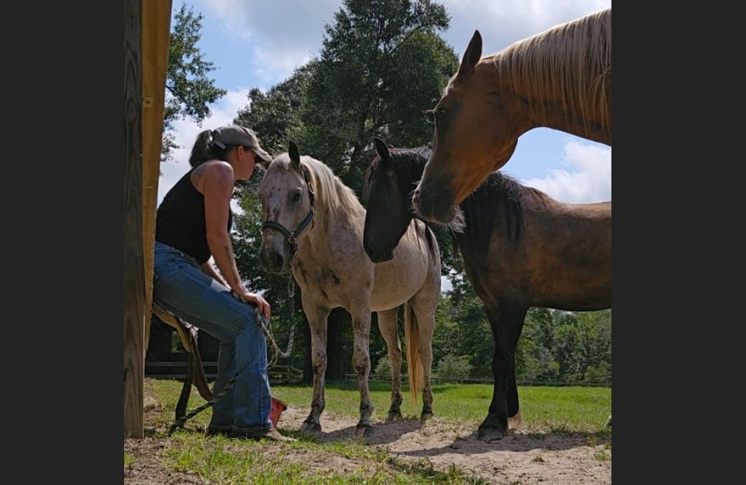 Yin Yang Horsemanship Horse Trainer in Defuniak Springs Florida