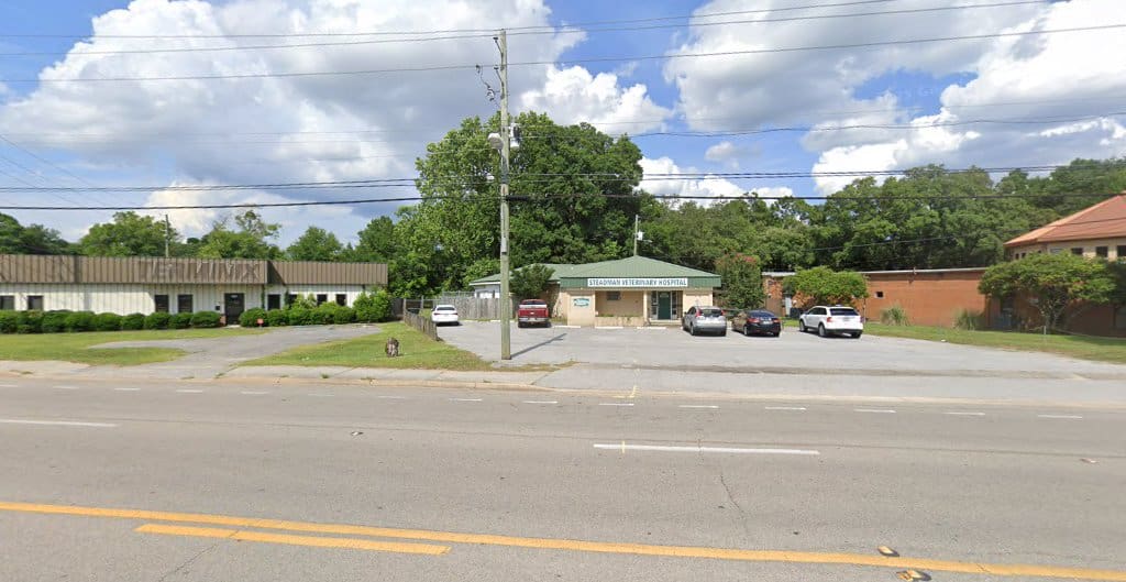 dr steadmend Veterinarian in Pensacola Florida