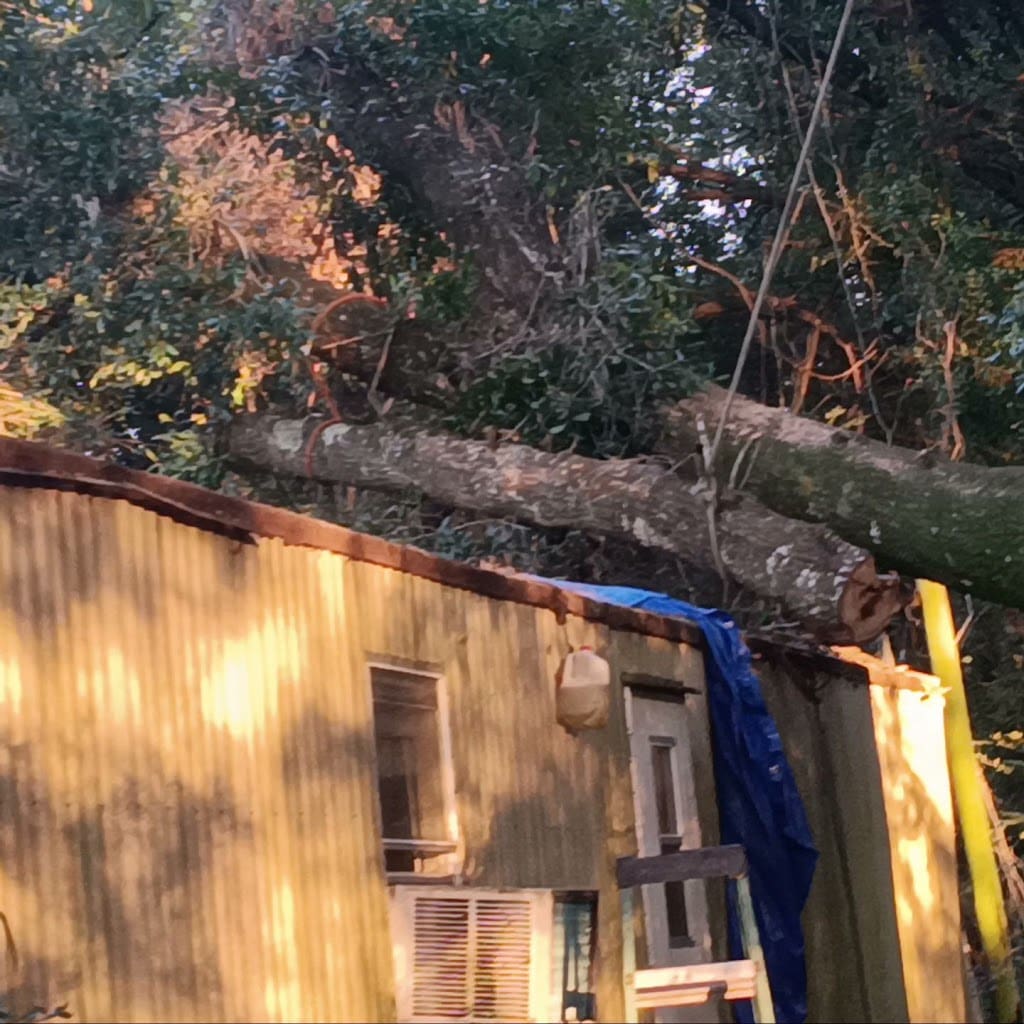 the final cut tree and lawn care Tree Service in Defuniak Springs Florida