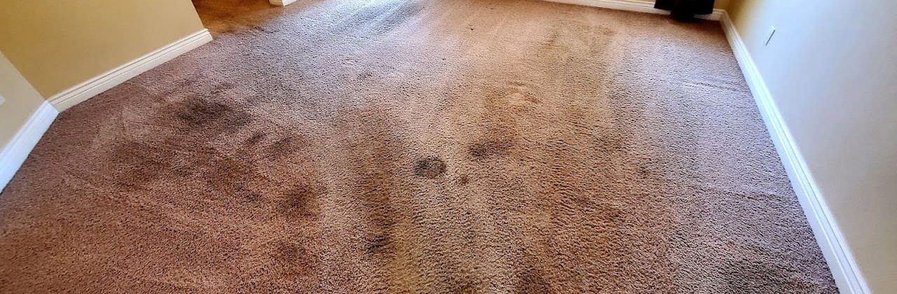 14:40 carpet and tile cleaning - Carpet Cleaning Service in Cantonment