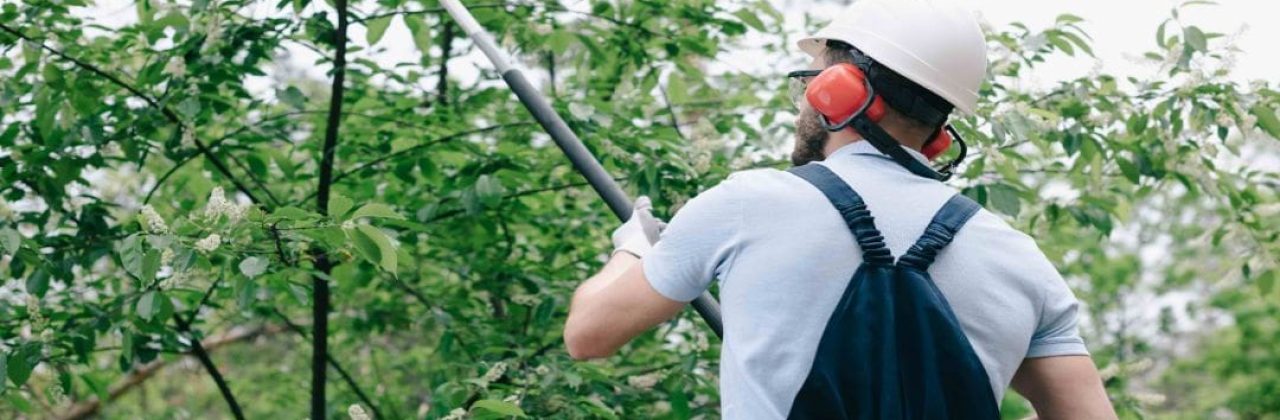 Affordable Tree Lawn & Pool Service - Swimming Pool Repair Service in Pensacola