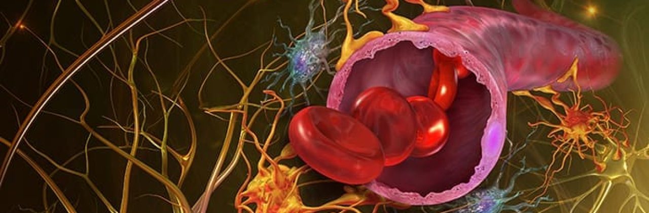 Alexander & Turner Inc. Medical Illustration Studio - Graphic Designer in Santa Rosa Beach