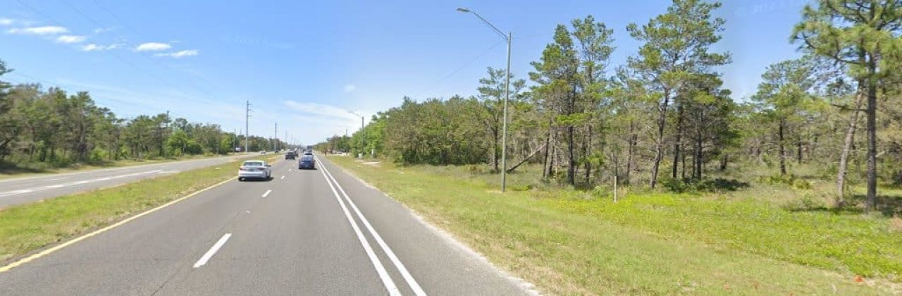 American Tree Services - Tree Service in Gulf Breeze