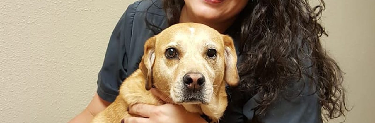 Animal Eye Clinic Of Pensacola - Veterinarian in Pensacola