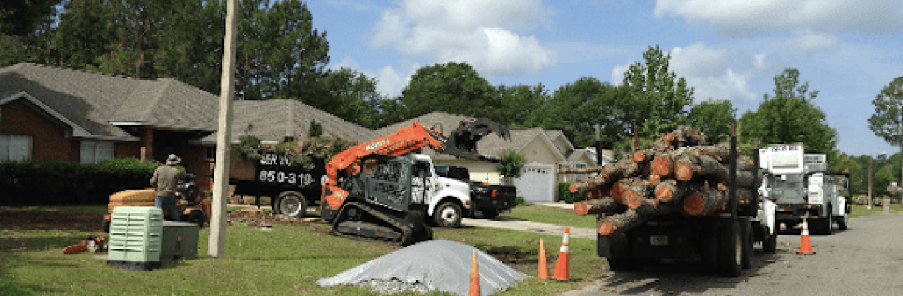 Arbor Outlawz Tree Removal llc. - Tree Service in Panama City