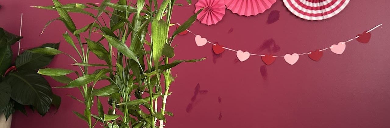 Asian Massage - Massage Therapist in Destin