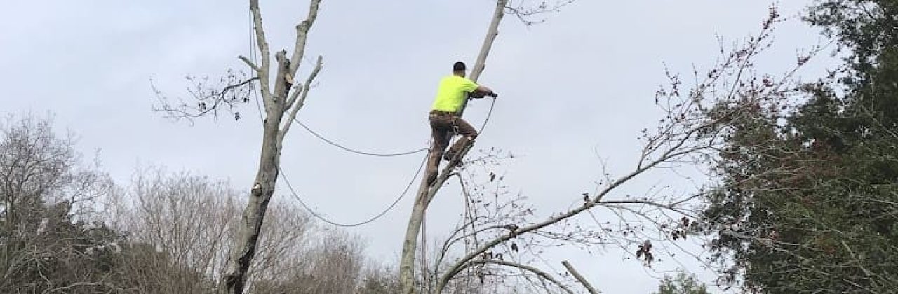 B&B Enterprises - Tree Service in Pensacola