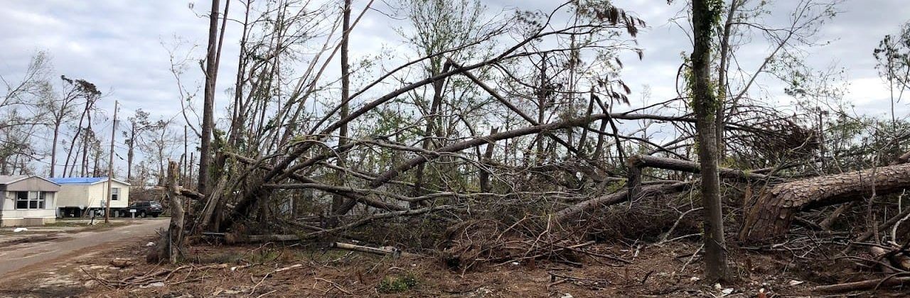 BTN Tree Service LLC - Tree Service in Pensacola