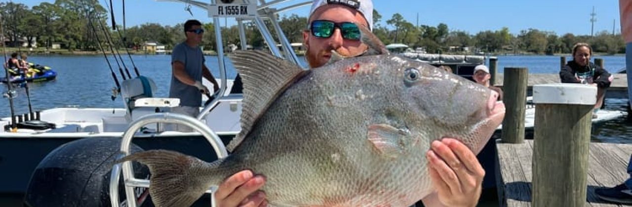 Bandit Fishing - Fishing Charter in Pensacola Beach