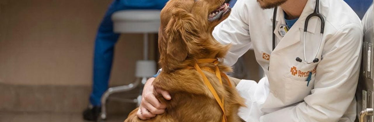 Banfield Pet Hospital - Veterinarian in Pensacola