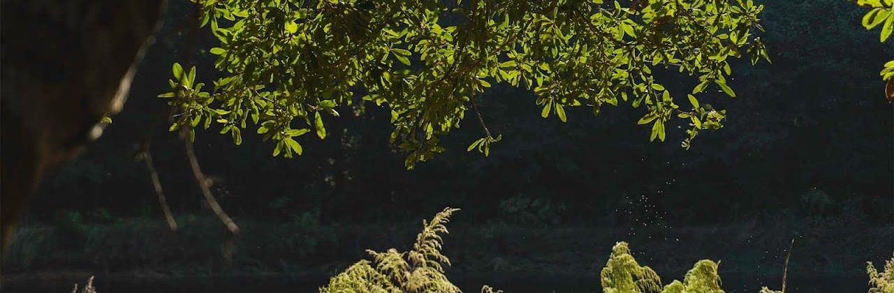 Barnes West Productions - Video Production Service in Pensacola