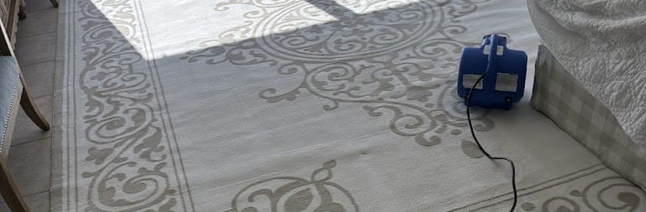 BeachShine Steam Cleaning and Restoration - Carpet Cleaning Service in Panama City Beach