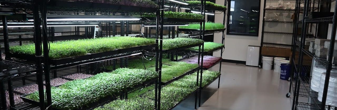 Better Greens Farms - Health Food Store in Panama City Beach