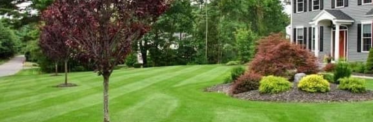 Billy Goat's Lawn Care and Landscaping - Lawn Care Service in Pensacola