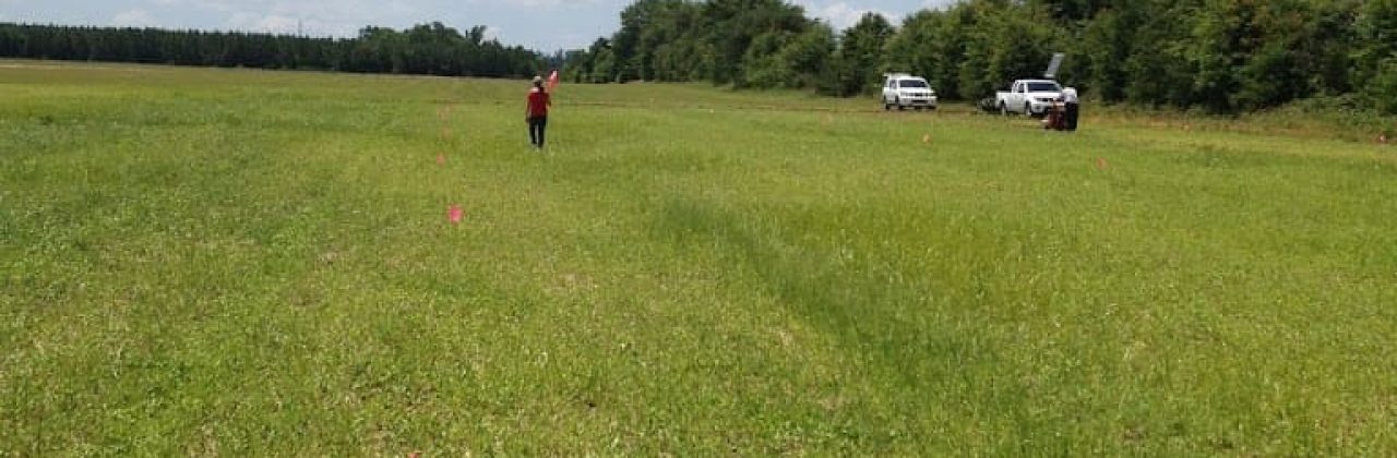 BlackWater Olive Grove - Farm in Jay