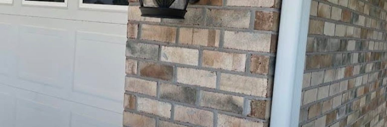 Blue Collar Contractors L.L.C. - Handyman in Navarre