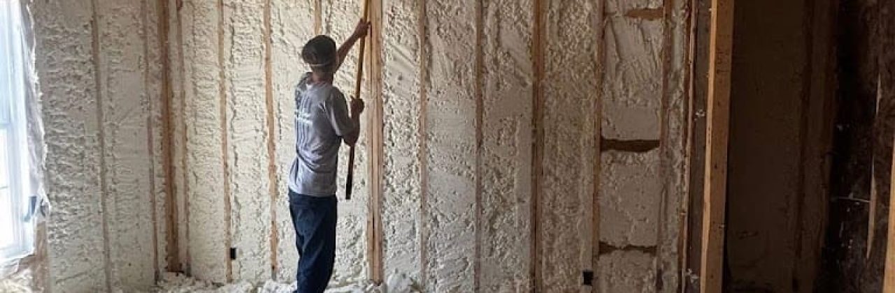 Blue Line insulation of ECB