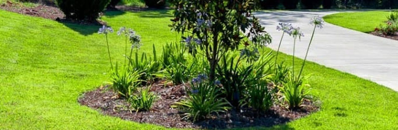 Blue Sky Turf Solutions - Lawn Care Service in Pensacola