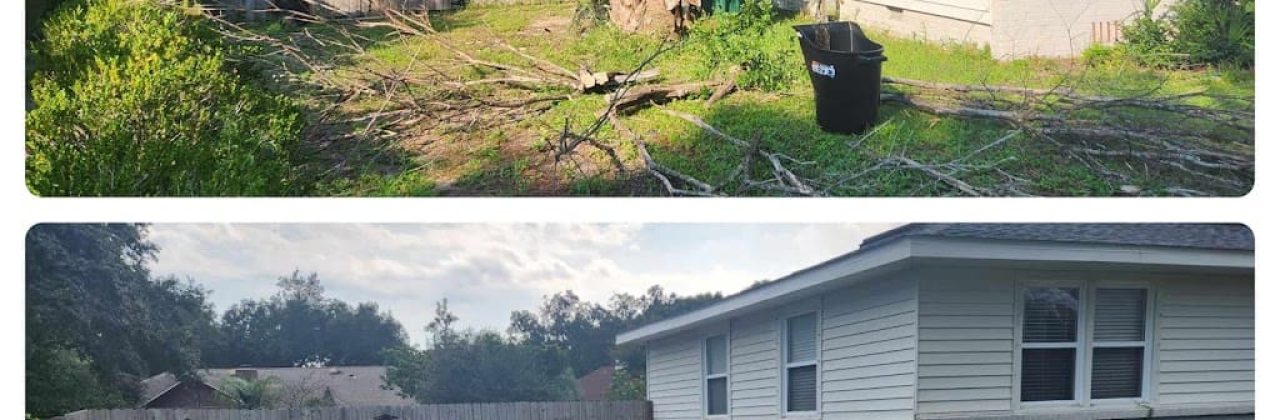 Braddock Bros Tree Care - Tree Service in Gulf Breeze